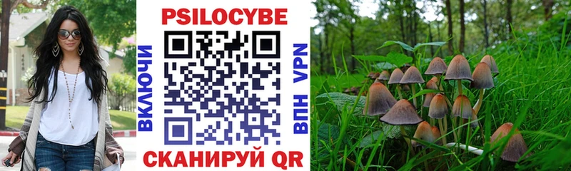 даркнет официальный сайт  Астрахань  Псилоцибиновые грибы Psilocybine cubensis 